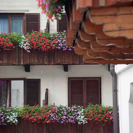 Appartement Monika 1